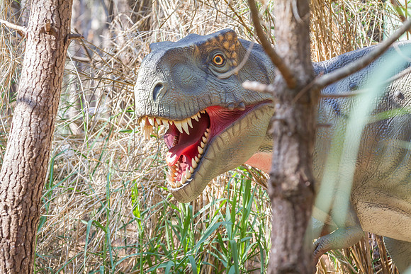 Dinossauros Lourinhã_070917_0071