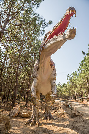 Dinossauros Lourinhã_070917_0059