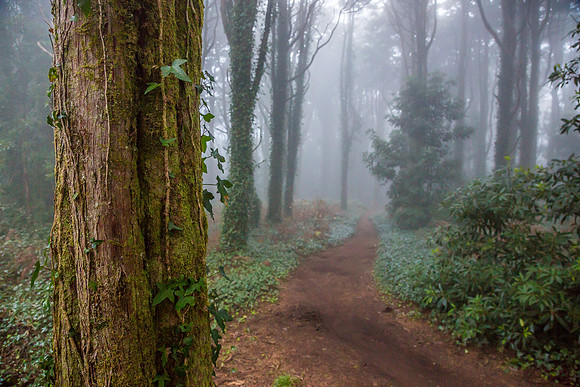 Sintra_Nevoeiro_081217_0007