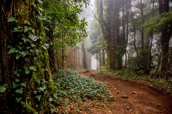 Sintra_Nevoeiro_081217_0011