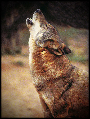 ARF_Portfolio_0437