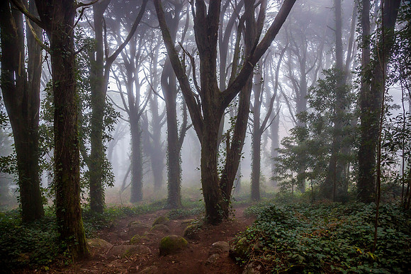 Sintra_Nevoeiro_081217_0013
