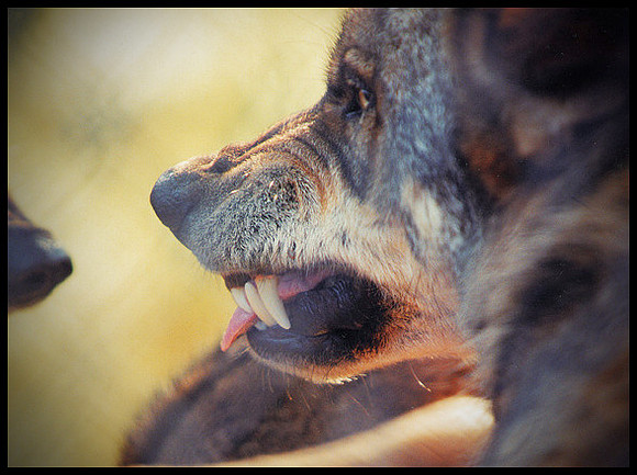 ARF_Portfolio_0438
