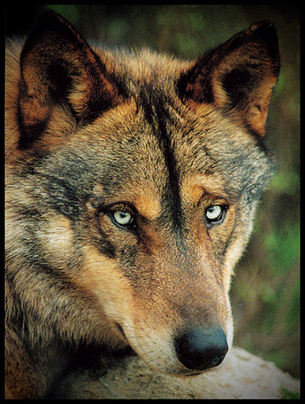 ARF_Portfolio_0434