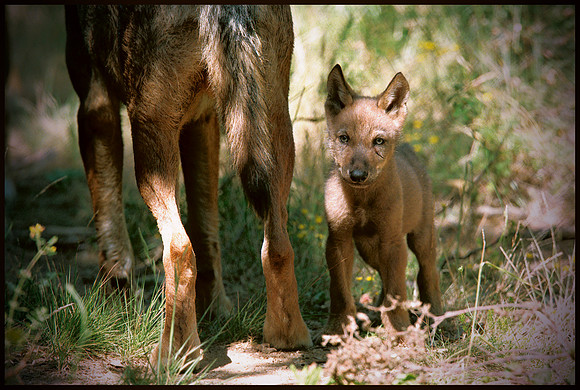 ARF_Portfolio_0439