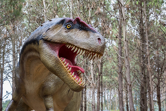 Dinossauros Lourinhã_040917_0267