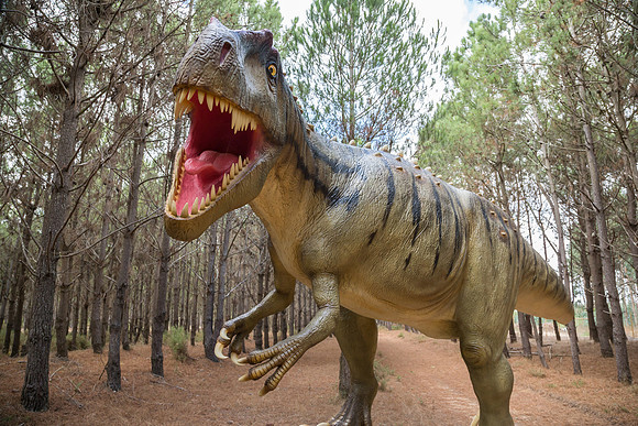 Dinossauros Lourinhã_040917_0271
