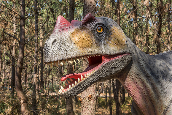Dinossauros Lourinhã_070917_0095